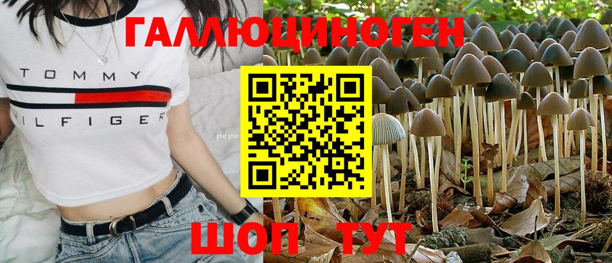 Псилоцибиновые грибы Psilocybe  Вход с VPN  Королёв  Псилоцибиновые грибы Psilocybine cubensis 