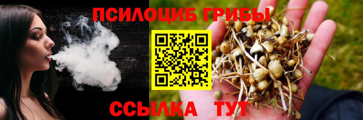 Галлюциногенные грибы MAGIC MUSHROOMS Королёв